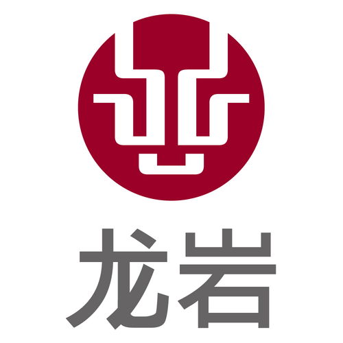 龙岩第45类社会服务商标注册查询指南 流程、注意事项与实务建议